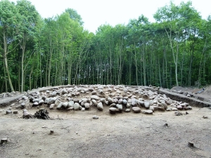 Das Hügelgrab im Wald von Buchwalde 3