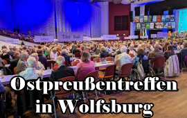 LO Wolfsburg 1